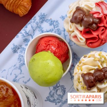 Le comptoir à glaces de Pleincœur et ses coupes glacées - photos