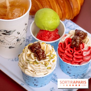 Le comptoir à glaces de Pleincœur et ses coupes glacées - photos