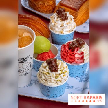 Le comptoir à glaces de Pleincœur et ses coupes glacées - photos