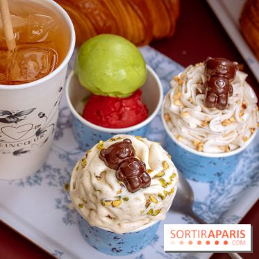 Le comptoir à glaces de Pleincœur et ses coupes glacées - photos