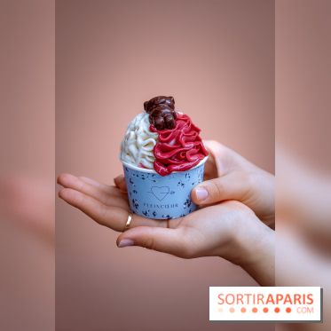 Le comptoir à glaces de Pleincœur et ses coupes glacées - photos