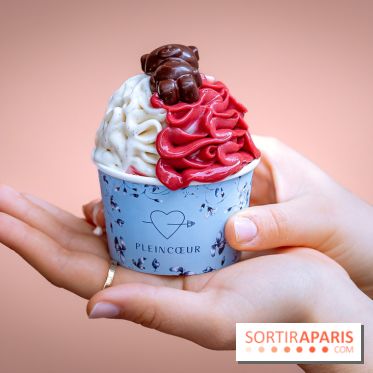 Le comptoir à glaces de Pleincœur et ses coupes glacées - photos