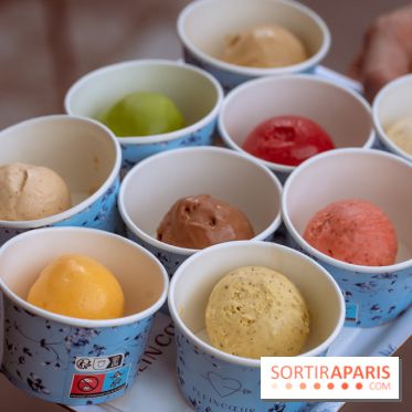Le comptoir à glaces de Pleincœur et ses coupes glacées - photos