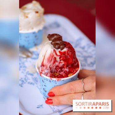 Le comptoir à glaces de Pleincœur et ses coupes glacées - photos