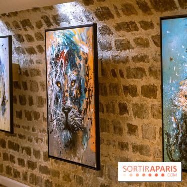 Exposition street art Sax à l’église de la Madeleine - les photos