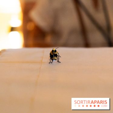 Fauna Fabulosa : un bestiaire fantastique au château de la Roche Guyon dans le Val d'Oise - photos