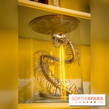 Fauna Fabulosa : un bestiaire fantastique au château de la Roche Guyon dans le Val d'Oise - photos