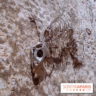 Fauna Fabulosa : un bestiaire fantastique au château de la Roche Guyon dans le Val d'Oise - photos