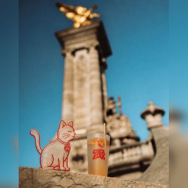 Chez Alex : terrasse d’apéro au bord de Seine face à la Tour Eiffel - PHOTO 18 08 54