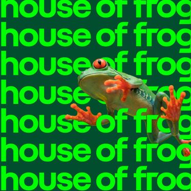 House of Frog - défilé renault® - SORTIR APARIS HOF 1500x1000 07