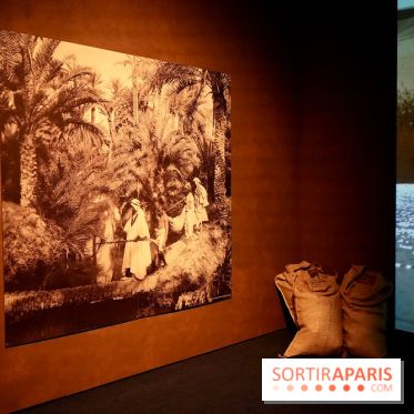 Décor mural et projection dans l’exposition - Toutankhamon : son tombeau et ses trésors