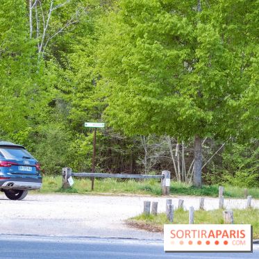 Liaisons douces à Fontainebleau : la forêt à vélo, les photos
