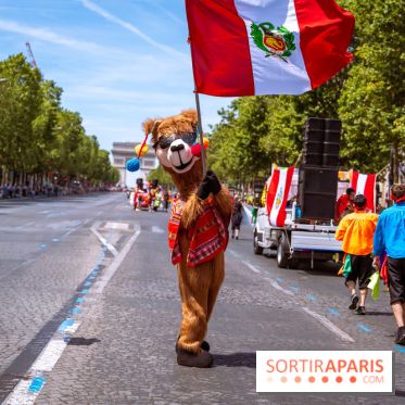 Carnaval Tropical 2026, les photos