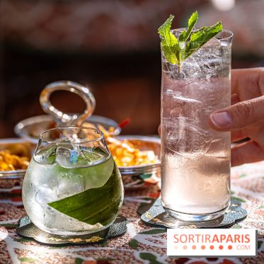 Le Rooftop du Fouquet's, bar à cocktail et cuisine fusion japonaise - photos
