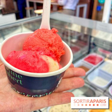Glaces Martine Lambert