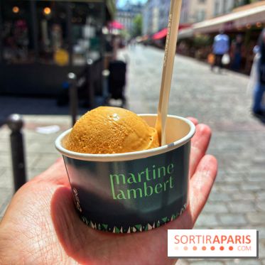 Glaces Martine Lambert