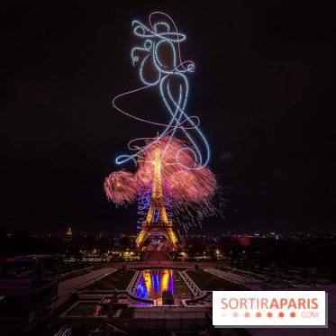Le feux d'artifice de Paris 2026, les photos du spectacle