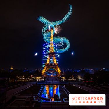 Le feux d'artifice de Paris 2026, les photos du spectacle