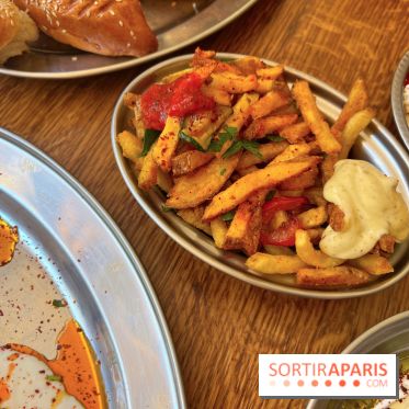 Mersin - Frites