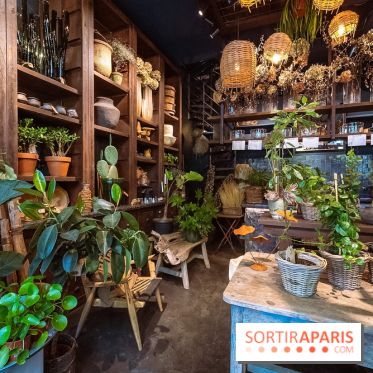 Mégie, la cantine botanique, boutique et atelier floral - photos