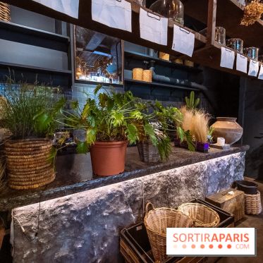 Mégie, la cantine botanique, boutique et atelier floral - photos