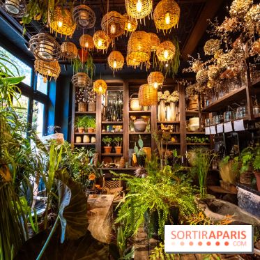 Mégie, la cantine botanique, boutique et atelier floral - photos