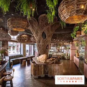Mégie, la cantine botanique, boutique et atelier floral - photos
