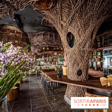 Mégie, la cantine botanique, boutique et atelier floral - photos