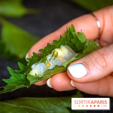 Mégie, la cantine botanique, boutique et atelier floral - photos