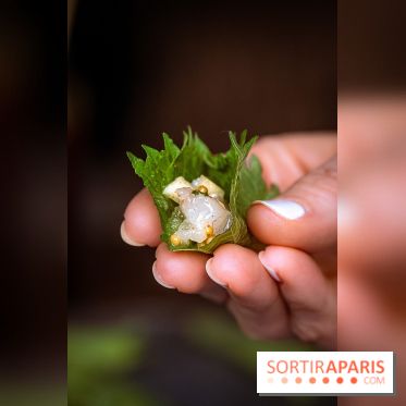 Mégie, la cantine botanique, boutique et atelier floral - photos