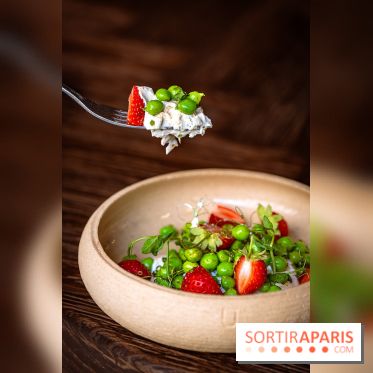 Mégie, la cantine botanique, boutique et atelier floral - photos