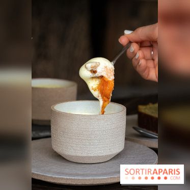 Mégie, la cantine botanique, boutique et atelier floral - photos