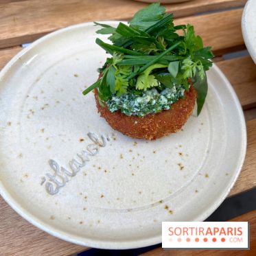 Ethanol - Croquettes de rillettes