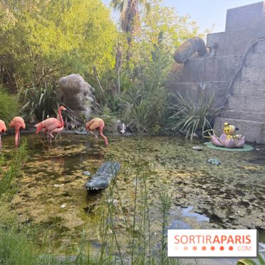Flamants roses et crocodile au Parc Spirou