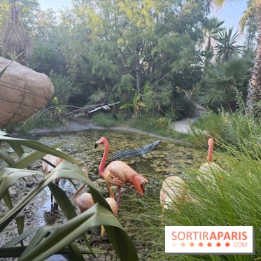 Zone tropicale du Parc Spirou Provence
