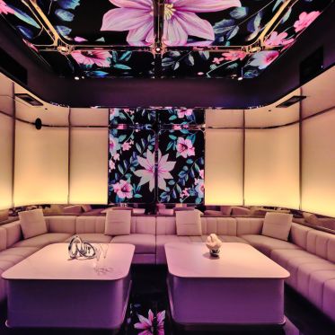 REVO PartyBox à Bastille : karaoké immersif et salons privatifs à Paris - 1816759095e5962600a0474c841216c2