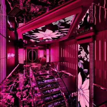 REVO PartyBox à Bastille : karaoké immersif et salons privatifs à Paris - db2a3690991e0bdcf813b9e44e44e804
