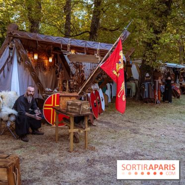 Gargenville : la Fête Médiévale viking au château de Rangiport 2026, les photos