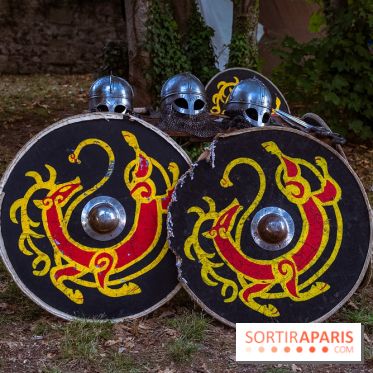Gargenville : la Fête Médiévale viking au château de Rangiport 2026, les photos