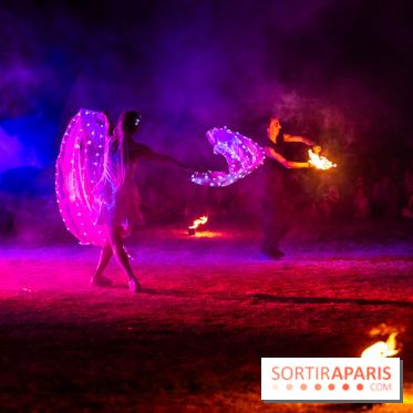 Gargenville : la Fête Médiévale viking au château de Rangiport 2026, les photos