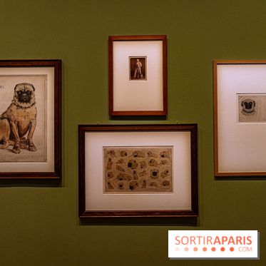 Exposition Eva Gonzalès au Petit Palais, les photos