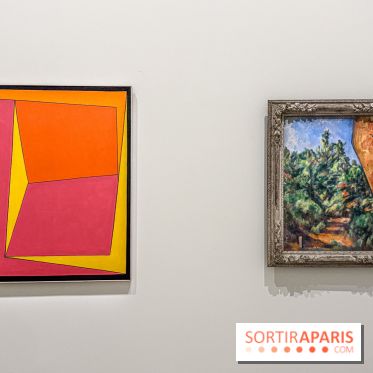 Exposition Cezanne et nous au Grand Palais