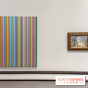 Exposition Cezanne et nous au Grand Palais