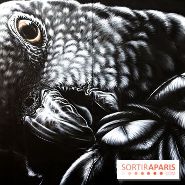 Festival de street art d'Antony 2026, nos photos
