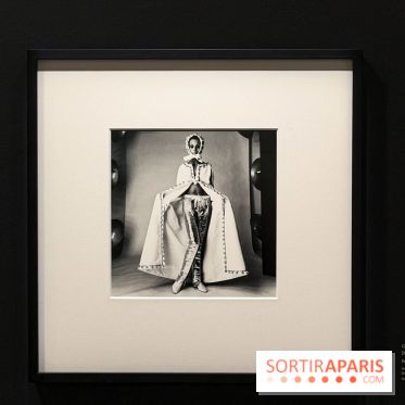 Irving Penn