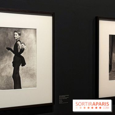 Irving Penn