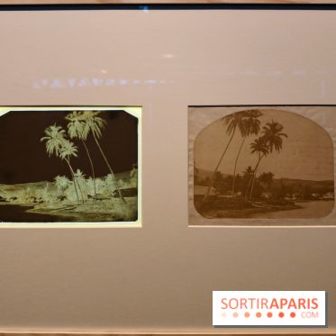 Voir Tahiti : une exposition qui dévoile les premières photos du XIXe siècle au musée du Quai Branly