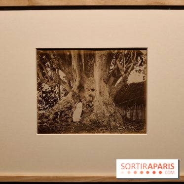 Voir Tahiti : une exposition qui dévoile les premières photos du XIXe siècle au musée du Quai Branly