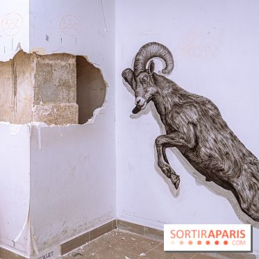 L'Expo des 150 2026 et Street Art Denfert, les photos