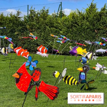 Festival de l'Air 2025 à Montesson (78)